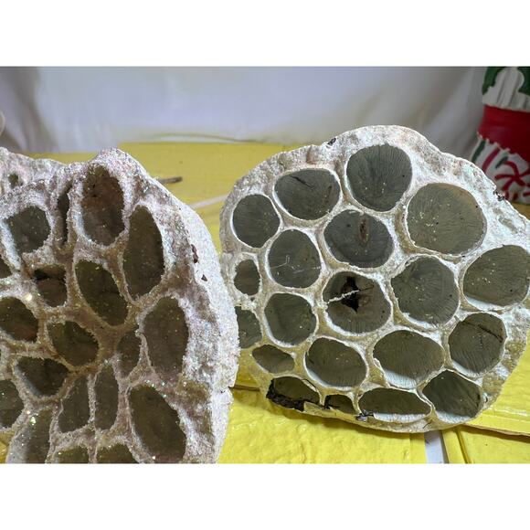 Vintage Lotus Seed Pod Floral Picks Christmas Holiday White Silver Set - Picture 13 of 16